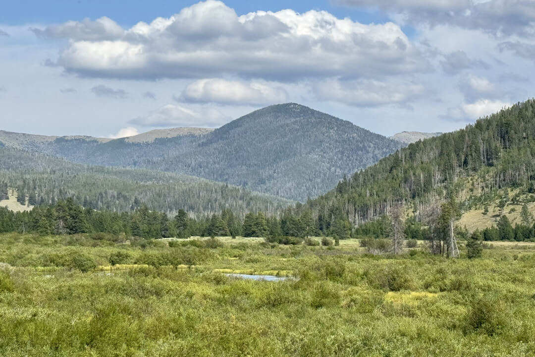 Lush green valley with distant mountains