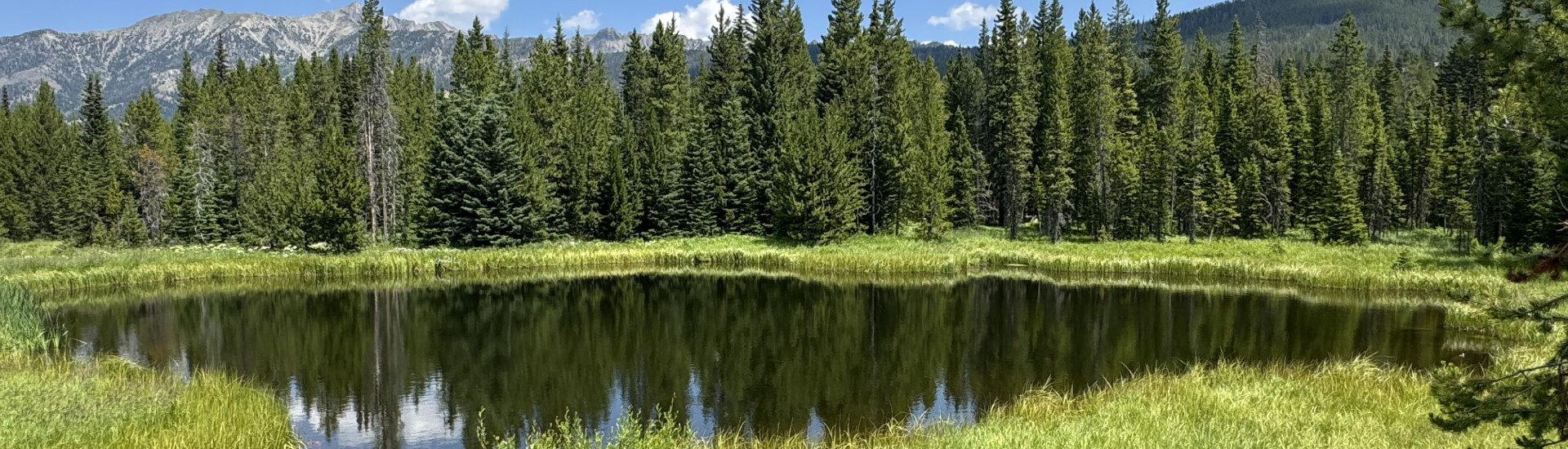 Land Value Alpha Fund - Contact