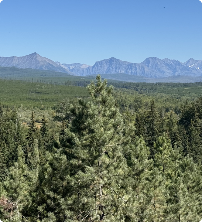 Land Value Alpha Fund - Contact